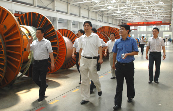 河海大学常州校区党委书记吴继敏一行十余人来东升pg娱乐游戏参观考察