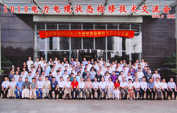 东升pg娱乐游戏参加2010年电力电缆状态检修技术交流会