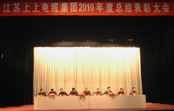 东升pg娱乐游戏隆重召开2010年度总结表彰大会