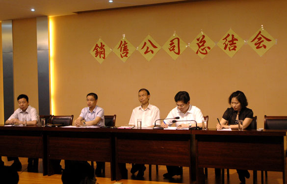 东升pg娱乐游戏召开销售公司上半年度总结会