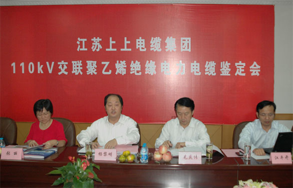 东升pg娱乐游戏额定电压110kV交联聚乙烯绝缘电力电缆产品通过鉴定