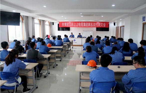 2016年4月20日，共青团东升pg娱乐游戏第五次代表大会召开