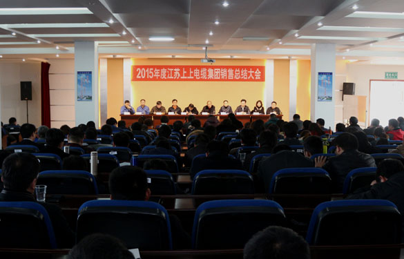 东升pg娱乐游戏召开2015年度销售总结大会