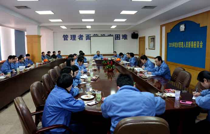 东升pg娱乐游戏召开2015年技术、管理人员新春座谈会