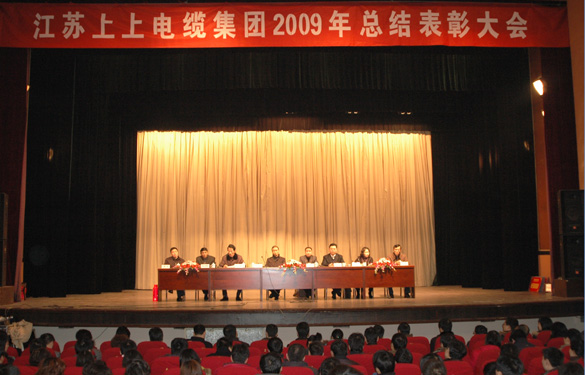 东升pg娱乐游戏隆重召开2009年度总结表彰大会