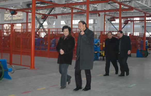 江苏省经信委副主任顾瑜芳一行来东升pg娱乐游戏调研