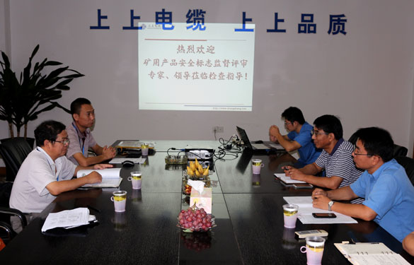 东升pg娱乐游戏顺利通过安标现场监督评审