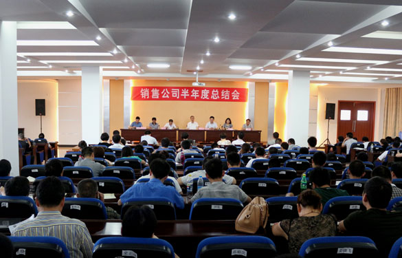 东升pg娱乐游戏召开2013年销售公司半年度总结会