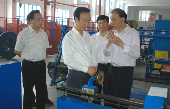 常州市委书记范燕青一行来东升pg娱乐游戏视察