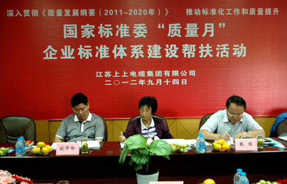 国标委“质量月”专家组到东升pg娱乐游戏检查指导工作