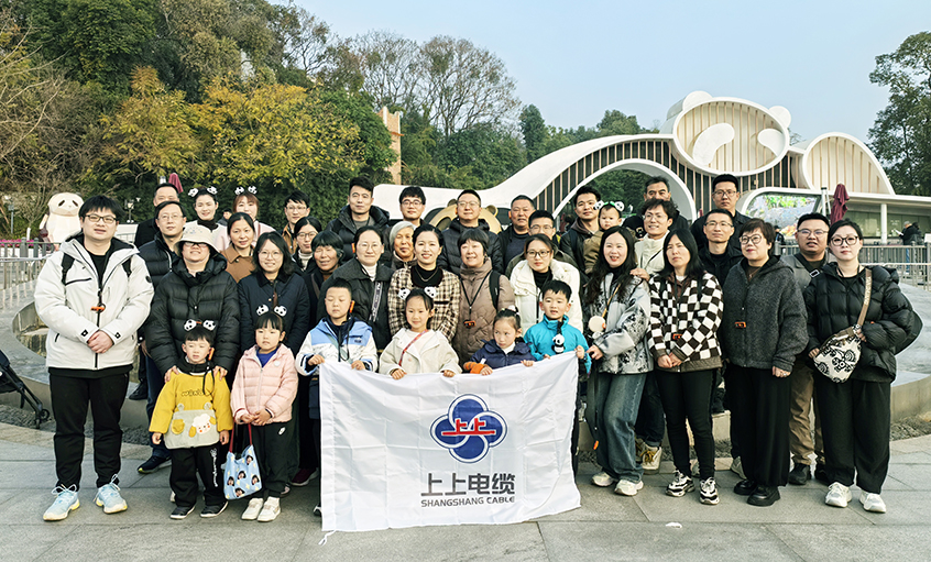 以文化润心 用关怀聚力——东升pg娱乐游戏2024年度先进员工蜀韵文化之旅圆满收官