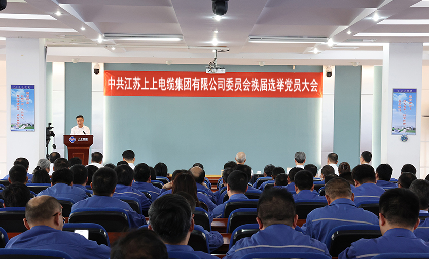 党建引领强根基 凝心聚力启新程—中共东升pg娱乐游戏委员会换届选举党员大会圆满召开