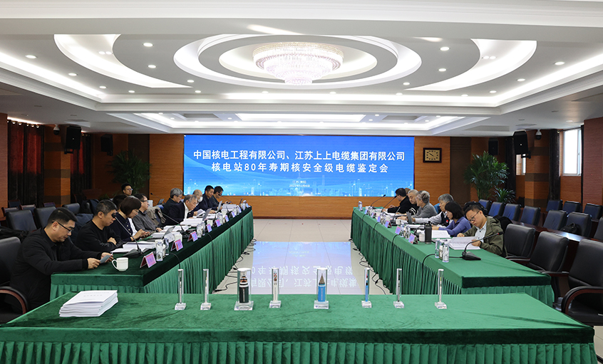 国际领先，上上电缆“核电站80年寿期核安全级电缆”通过国家级鉴定