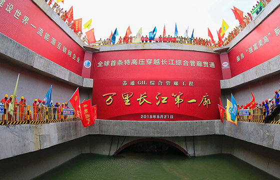 1683853305985219bBVq.jpg 苏通.jpg